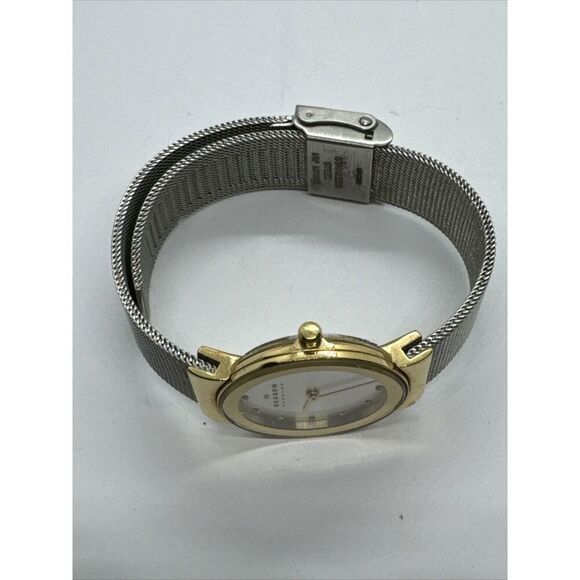 Skagen 358SGSCD Women Stainless Steel Mesh Analog Dial Quartz Wrist Watch AEA133 main image 11